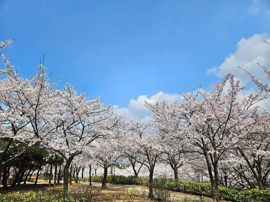 홍대입구, 신촌 중심부 씨티뷰하우스,Fully Furnished Apartment Seoul